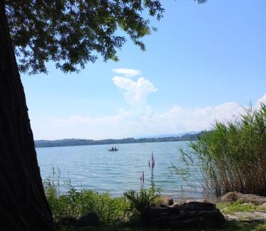 Morosolo Apartment | Appartamento Miralago con Giardino sul Lago