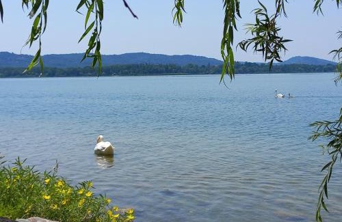 Morosolo Apartment | Appartamento Miralago con Giardino sul Lago