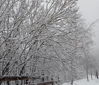Bardonecchia Apartment | Appartamento Sommeiller