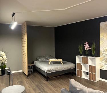 Montigny-le-Bretonneux Apartment | Appartement Claudel Netflix Saint Quentin en Yvelines