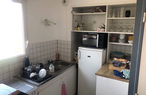 Les Puces de Saint-Ouen Apartment | Appartement Avec Terrasse