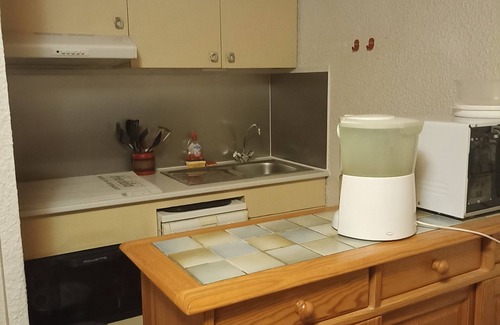 Les Deux Alpes Apartment | Appartement 5 Personnes Pieds des Pistes en RDC