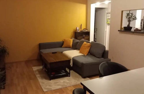 Rive Droite Apartment | Appartement 51 m² Ensoleillé. Parking Gratuit