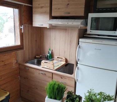 Allos Apartment | Appartement 8 couchages 45 m2 tout confort à la foux d'allos