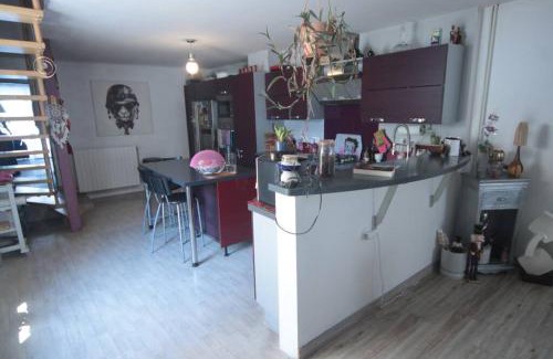 Vic-sur-Seille Apartment | Appartement 90 m2