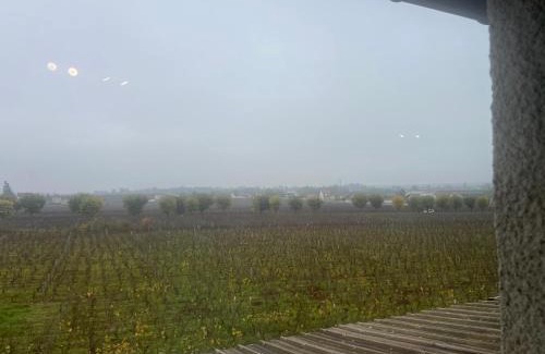 Vosne-Romanee Apartment | Appartement au pied des Vignes
