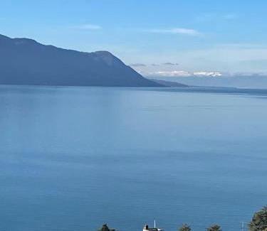 Montreux City Centre Apartment | Appartement centre vue lac Léman