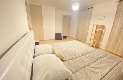 Schirmeck Apartment | Appartement « Chez Falco » vue sur le château