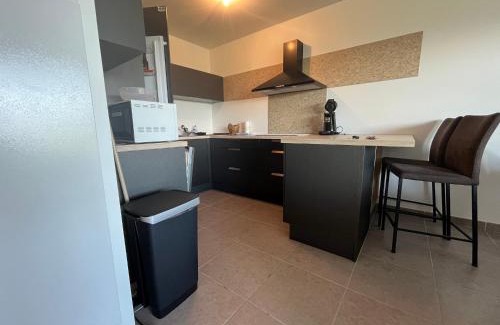 Evian-les-Bains Apartment | Appartement cosy avec jardin et parking à Évian - FR-1-498-105