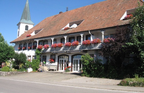 Uehlingen-Birkendorf Apartment | Appartement 1 mit Dusche/WC, Kochnische und Balkon