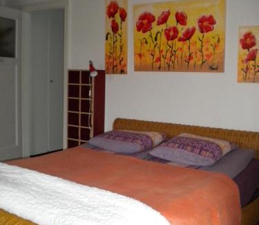 Blonay Apartment | Appartement La Coudraie