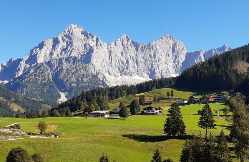 Ramsau am Dachstein Apartment | Appartement Mühlebnerhof