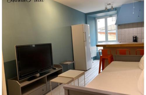 Massiac Apartment | Appartement porte du cantal