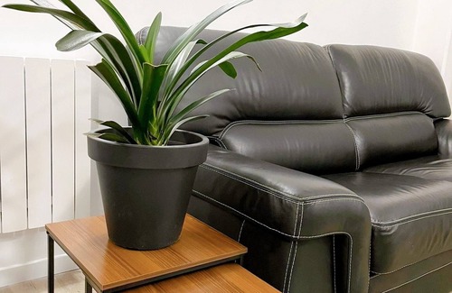 Torcy-le-Grand Apartment | Appartement Proche Paris et Disneyland
