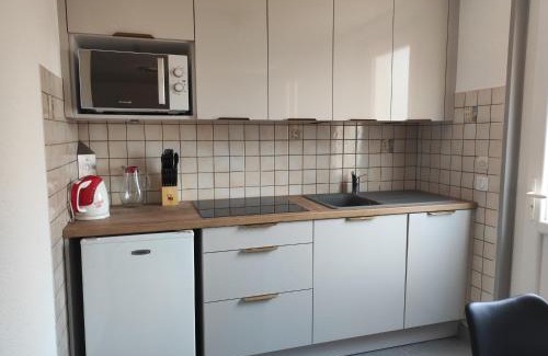 Palau-del-Vidre Apartment | Appartement rénové avec clim, piscine, WiFi et parking à Palau-del-Vidre - FR-1-776-108
