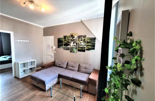 Laon Sud Apartment | Appartement refait par architecte. Proche de la gare et le centre de Reims