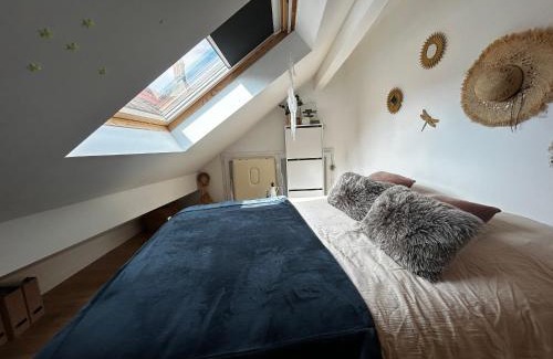 Evian-les-Bains Apartment | Appartement spacieux 2 chambres au centre d'Évian avec option parking - FR-1-498-115