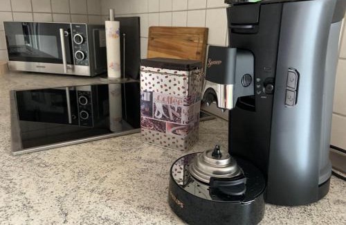 Lahr Apartment | Appartement Sulzbachtal in Lahr, Nähe Europapark, Nähe Rulantica