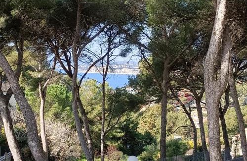 Sanary-sur-Mer Apartment | Appartement T2 Sanary sur mer