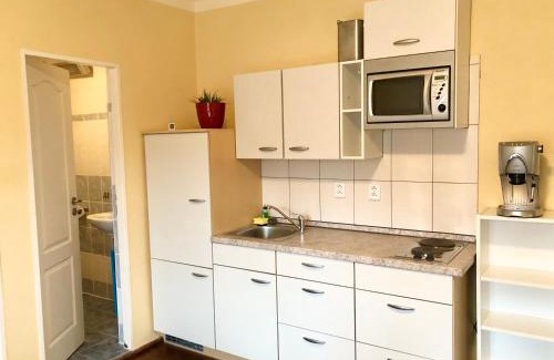 Bor u Tachova Apartment | Appartements Kosov 11 -Room 3
