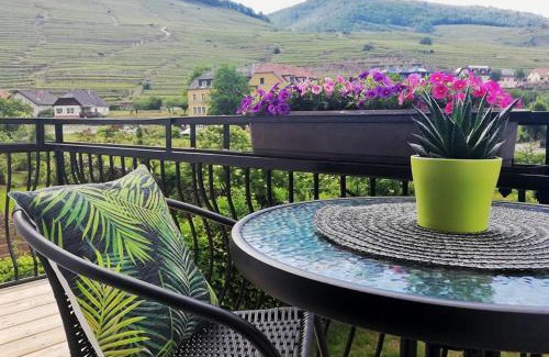 Spitz Apartment | Appartements Setzbergblick