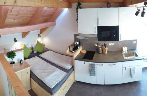 Bilovice nad Svitavou Apartment | Appartment in the Sky
