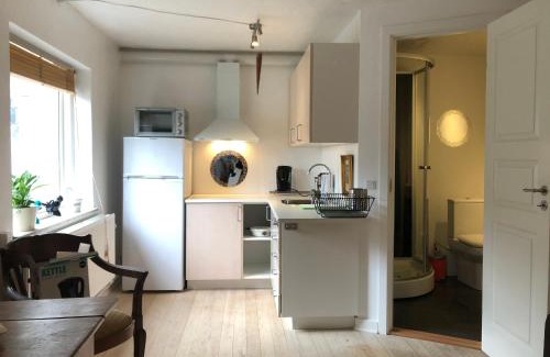 Alleroed Municipality Apartment | AppleFlower Farm retro apartment