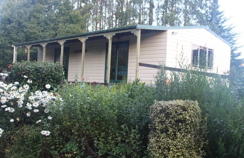 Aria Apartment | Aramatai Gardens BnB - immerse yourself in nature