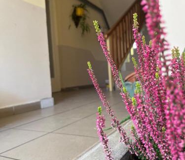 Szentes Bed & Breakfast | Aranykalász Panzió