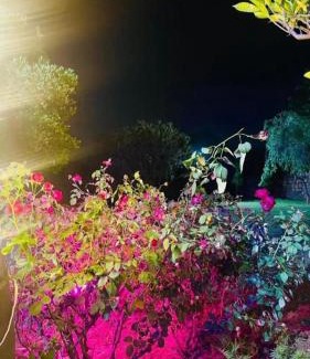 Khattalwada House | Aravali hill view farm