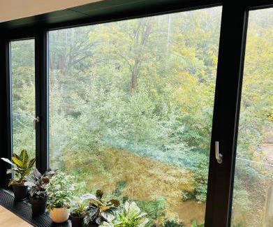 Karlovy Vary Apartment | ArtFlora KV Premium