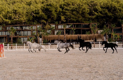 Urla Ski Chalet | Asha Country