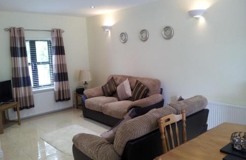 Cong Apartment | Ashford Villa