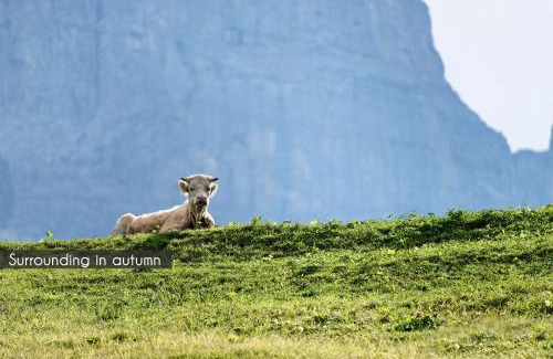 Grindelwald Hotel | Aspen Alpine Lifestyle Hotel