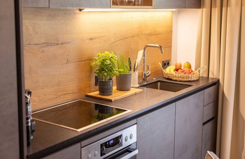 Bruck an der Grossglocknerstrasse Apartment | Lovely apartment for 4 guests with WIFI, TV, balcony, pets allowed, panoramic view and parking
