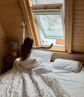 Brosteni Ski Chalet | Atipic Chalet