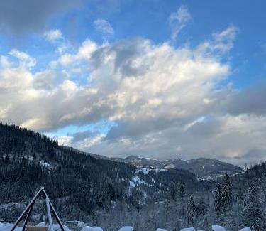 Brosteni Ski Chalet | Atipic Chalet