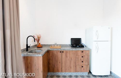 Amizmiz Apartment | ATLAS BOUSKIOD