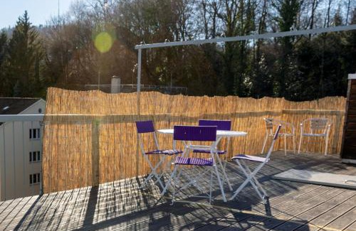 Alt-Wiedikon Apartment | Attic Loft with rooftop terrace!