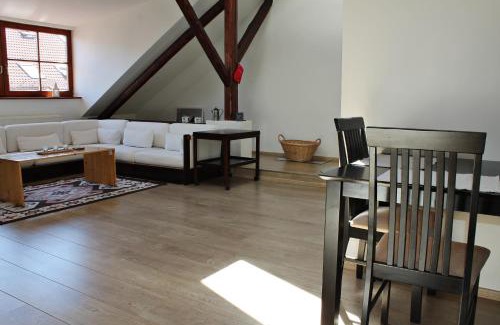 Ceske Budejovice Apartment | Attic with parking, near the center of ČB - 110m2
