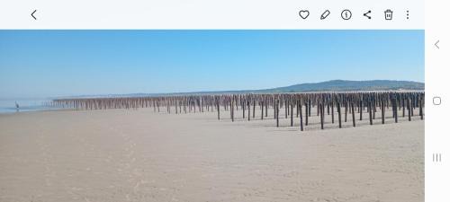 Camiers Apartment | Au bord des Dunes