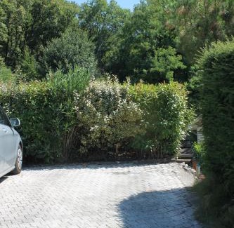 Aix-les-Bains Apartment | Au Cœur De La Riviera Des Alpes T2