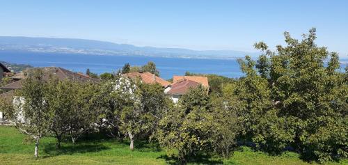 Publier Bed & Breakfast | Au coucher du lac