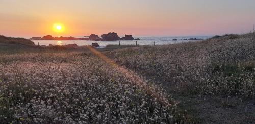 Saint-Vougay Bed & Breakfast | Au Dolmen de Kerhus "Mysigt"