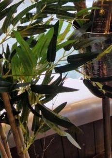 Tinlot House | Au Petit Seny, gîte charme et nature avec jacuzzi pro