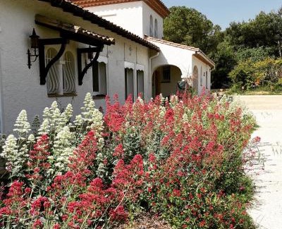 Carcassonne Apartment | Au point du jour - Gîtes Carcassonne, Lac de la Cavayère