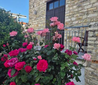 Pano Lefkara Apartment | Aunt Maria's