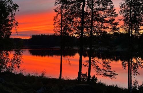 Viitasaari Boat Rental | AuroraHut Kivisalmi