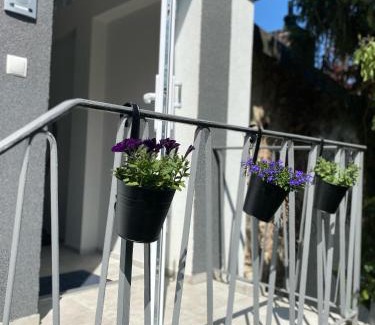 Badenweiler Apartment | Ausblick residence