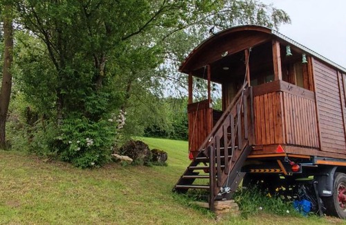 Rumikon Apartment | Autarkes Tiny House mit Rheinblick